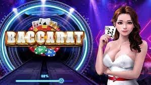 277bet